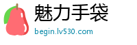 魅力手袋