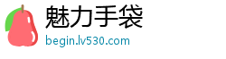 魅力手袋